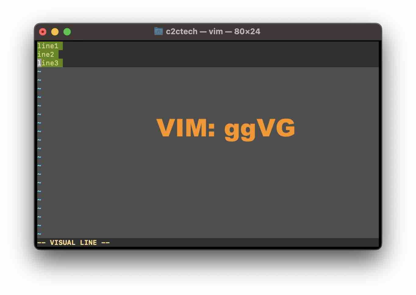 How to Select All Text in Vim/Vi editor